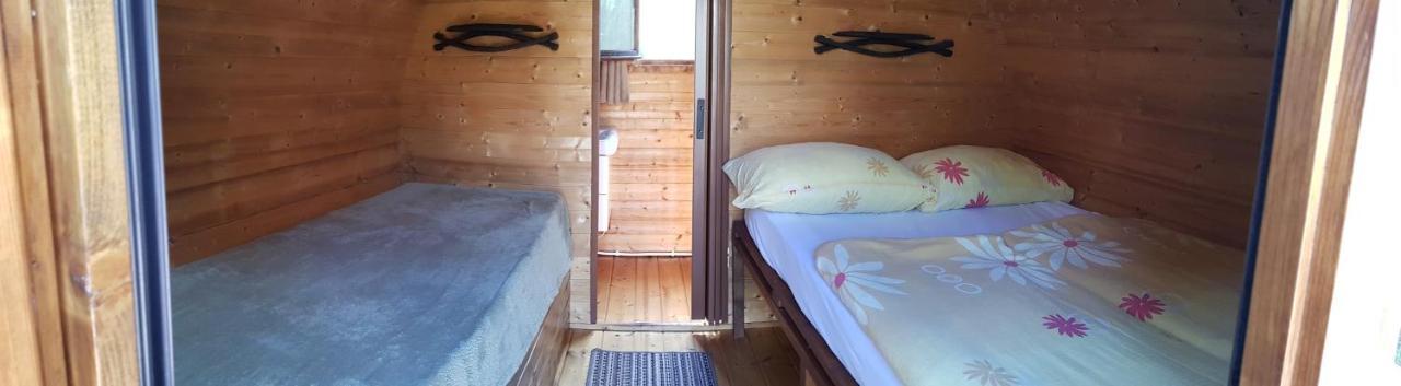 Tokaj Zlata Putna - Restaurant & Pension Vinicky Εξωτερικό φωτογραφία
